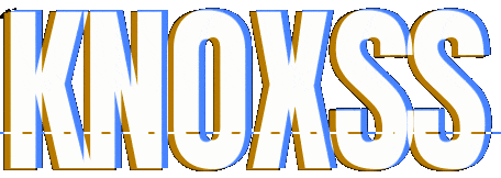 Adding Knoxnl (KNOXSS) to Burp